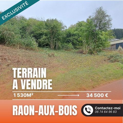 Vous cherchez un terrain pour concrétiser votre projet de construction ? Découvrez cette parcelle de 1530 m² située sur la commune de Raon-Aux-Bois, à proximité des services et dans un cadre verdoyant. Bien que ce terrain présente une pente naturelle...