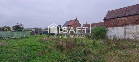photo no. 2