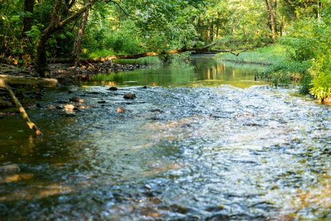 Hinkle Lake 215 is an amazing tract completely surrounded by over 340,000 acres of the Ouachita National Forest. A watershed lake can be found in the property's south west corner, giving access to the entire lake. Located less than a mile from Hinkle...