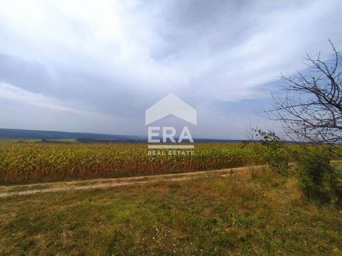 EXCLUSIVE! ERA Varna Trend offers for sale a plot of land with a wide panorama, at the end of the village of Zdravets, under the town hall and the church, in the 'Meralaka' area. There is a DDP and PPP with the following construction parameters: dens...