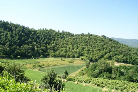 Esta casa se encuentra en Dicomano, cuenta con 6 dormitorios y piscina compartida para unas vacaciones en Toscano perfectas. En las horas de sol, las tumbonas en la terraza solárium son excelentes para permanecer. La casa de vacaciones es perfecta pa...