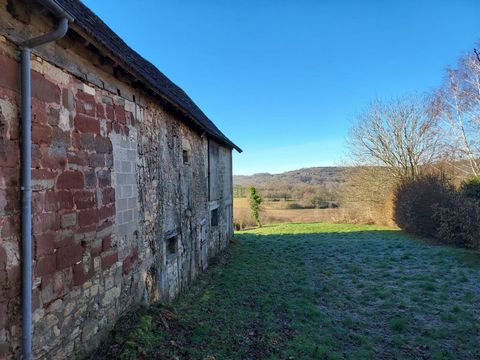 photo no. 9