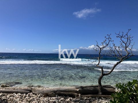 Are you dreaming of a little piece of paradise? Look no further! This incredible 729 m² plot of land, located in Moorea, offers you everything you need to live the tropical life to the fullest! Why is it the perfect spot? Seaside: Imagine opening you...