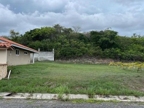 Quiet and safe environment to live. Urbanized lot, in a residential area near Coronado, West Panama. The lot has all the basic services you need to build the house of your dreams, electricity, water, cable. Its location will allow you to enjoy the tr...