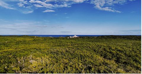 Eine Wohnanlage mit 43 Wohnungen mit einer unvergleichlichen Aussicht in Tulum und exklusiven Annehmlichkeiten innerhalb und außerhalb der Anlage. Mirador hat eine privilegierte Lage in Tulum, einen spektakulären Blick auf die archäologische Stätte u...