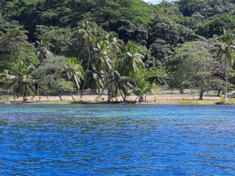 Terrain exclusif en bord de mer, situé dans l’une des zones les plus recherchées des Caraïbes, juste en face de la marina. Cette terre offre une vue imprenable sur l’océan et un accès direct aux eaux cristallines des Caraïbes. Parfait pour développer...