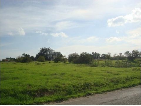 Mixed land in Montijo, with a total area of 59,880 m² (one article with 37,800 m² and another with 22,080 m²), on the Royal Road, in an agricultural area with small housing clusters, located between the Montijo/Samouco road, the N119 Montijo/Alcochet...