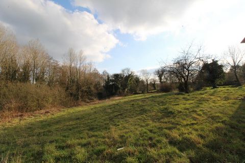 photo no. 2