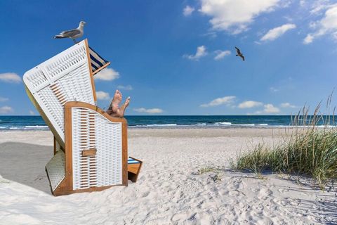 Het populaire vakantie- en recreatiepark Weissenhäuser Strand ligt direct aan een 3 kilometer lang zandstrand aan de Oostzee. Vooral gezinnen vinden hier afwisseling: het subtropische zwemparadijs, het junglelandavontuur en een wakeboard- en waterski...