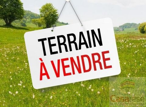 TERRAIN de 5600 m² - TREVERIEN