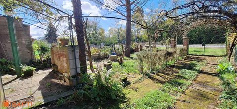 Maison à rénover – Fort potentiel Carmaux - sous sol/Garage