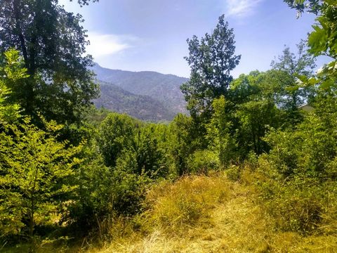 Un rêve qui devient réalité, un projet à concrétiser.