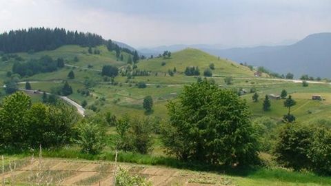 139: ICH VERKAUFE 4 HEKTAR. LANDWIRTSCHAFTLICHE FLÄCHEN IM DORF MOMCHILOVTSI, GEEIGNET FÜR EIN FERIENDORF, STRASSE, STROM, WASSER, UNTERSTÜTZUNG BEI DER REGULIERUNG, PANORAMA UND SEHR GUTE EXPOSITION. TEL ...