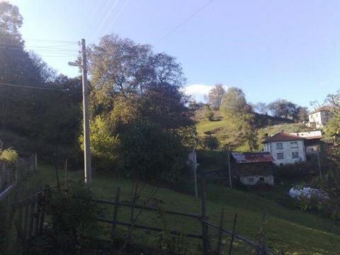 083: ICH VERKAUFE 4500SQ.M LANDWIRTSCHAFTLICHE FLÄCHEN / WIESEN, GÄRTEN / IN DER STADT TURJAN, AN DER GRENZE DER REGULIERUNG .STRASSE, STRÖMUNG, WASSER, ERSTAUNLICHES PANORAMA. TEL ...