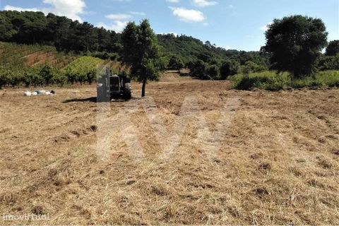 Rustic land with 2500 m2; Situated in the beautiful village of Alfeizerão, a parish in the municipality of Alcobaça, Portugal; It is located next to the national road - in front of CEIA - International Equestrian Center of Alfeizerão; A few kms from ...