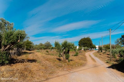 For us, your dreams are much more than a business. Located 1km from the center of the city of Estremoz, this magnificent estate of 315 000m2 with a huge potential, deprives of enough green space, olive grove and a privileged view over the city and it...