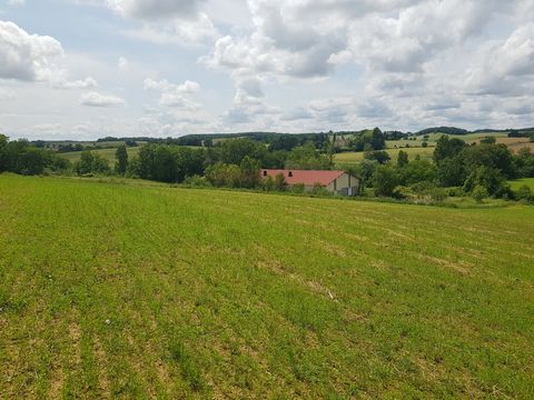 Located South of Vic-Fézensac towards Montesquiou in the Gers region, the farm includes 20ha of land (fields, meadows and woods) and several buildings. No previous use of chemicals nor pesticides. The property includes : - A farmer's cottage to be fu...
