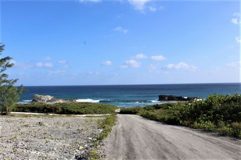 Breathtaking ocean views and beautiful sunrises is what you will see from this one acre parcel of land. Located in Scrub Hill only minutes away from shopping, schools, restaurants and public boat ramps. This lot has great elevation! Just a short walk...