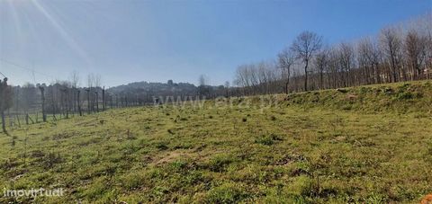 Rustic land with 4,210 m2 in Golães Land with: Great hits, Plan Location 2 minutes from the City Center, Good sun exposure. Golães Parish About 4 kilometers from the seat of the municipality of Fafe, Golães is located in the suburbs of the city, sepa...