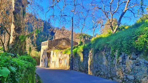 Ruin with 1254 gross construction area on urban land with 3066m2 Urban land with 3066m2 located in Sintra with privileged views of the Castelo dos Mouros, Palácio da Pena and Quinta da Regaleira. This land has ruins over 300 years old with a gross co...