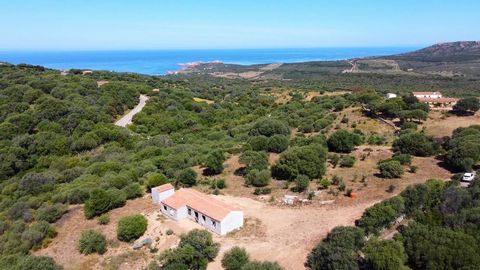 Paduledda - Trinità d'Agultu (SS) (Code PAD-STAZZU-MUN) Immersed in the greenery of the Mediterranean scrub, among olive trees, lentisks and countless essences and a fantastic view of the sea, we offer a fantastic building under construction. The bui...