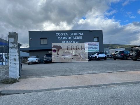 Terra Immobilier Solenzara offers for sale a business of Tolerie-Bodywork-Painting-Mechanical auto. The activity is done in a hangar of 370 m2 in excellent condition built on a fully fenced and closed ground. For administrative partrtie, you can have...