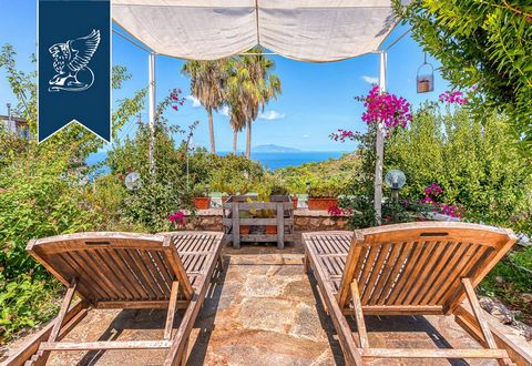 This magnificent villa in Capri has an ideal location with a magnificent marine panorama and a luxurious garden of 1000 sq.The house consists of a two -story villa and an extension with an area of ​​200 sq.On the lower floor of the main villa there a...