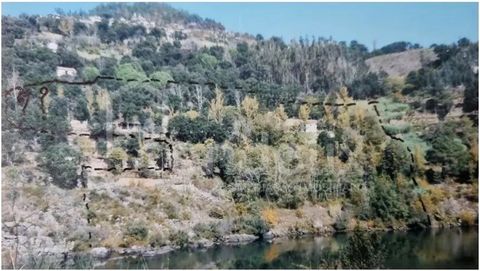 Dans le paysage pittoresque et enchanteur des pentes du fleuve Douro se trouve cette ferme située à Marco de Canaveses, avec une vue imprenable sur les eaux calmes et sereines du fleuve, cette propriété offre une opportunité unique pour ceux qui rech...
