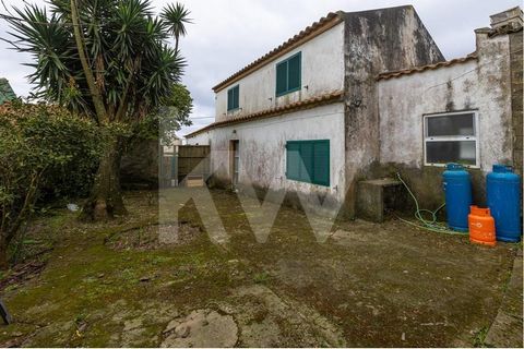 2 bedroom villa, with side entrance and backyard. Land of 695m2. The villa needs some repairs. Covoada is a ... ... ... of ... , Portugal, with an area of 9.92 km² and 1,341 inhabitants (2011). Its population density is 135.2 inhabitants/km². The pat...
