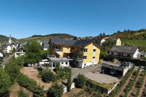 We offer you a holiday apartment with a kitchen and dining area, living room with satellite TV, WiFi, bathroom with bathtub and shower, parking space, garden and bicycle garage. The Sonnenhof is located in Enkirch on the Middle Moselle, surrounded by...