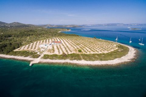 Einziges Anwesen in erster Meereslinie mit Olivenhain in absolut isolierter Lage auf der Insel in der Gegend von Zadar! Diese einzigartige Lage am Wasser garantiert absolute Privatsphäre und Ruhe! Das Anwesen ist nur mit dem Boot erreichbar! Es gibt ...