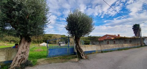 Warehouse for animals with boxes and large area, on a plot of 4780 m2, flat, with 2 wells. View of the Serra dos Candeeiros. Access by municipal tar road. This property has the possibility of construction of several villas, according to PIP requested...