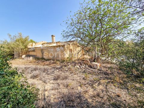 Plot of land with a ruin situated in a green area in Vale Rabelho. Located next to the main road to the beach in Galé, around 1 km away from all facilities. The ruin has an area of 84 m² with a bore hole and a water tank. You have the possibility to ...