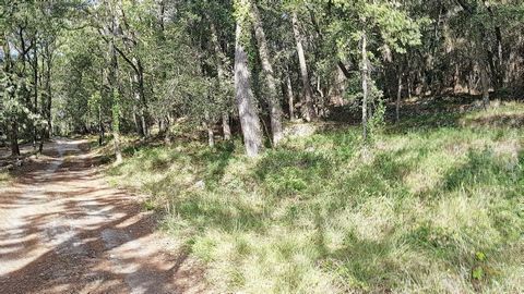 EXCLUSIVITY - Unbuildable land with an area of 25,414 m² - located exclusively in a natural area (non-buildable) and mainly composed of forest (oaks, pines, coppices) in a residential area in the countryside of Roquefort les Pins. Easy accessibility ...