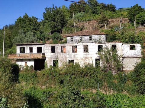 Les maisons de la Quinta das Lages, situées dans le centre de Santa Marinha do Zêzere, municipalité de Baião et district de Porto, sont au début de la région viticole du Haut-Douro classée au patrimoine mondial de l'UNESCO. Ils sont situés à 40 minut...