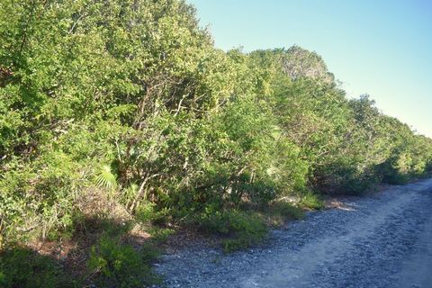 Discover your own private oasis in Whale Point, Eleuthera, Bahamas, with this oversized wooded lot spanning approximately 14,500 square feet. Located near beach reserves and Teal Duck Lake, this tranquil community offers the perfect backdrop for your...