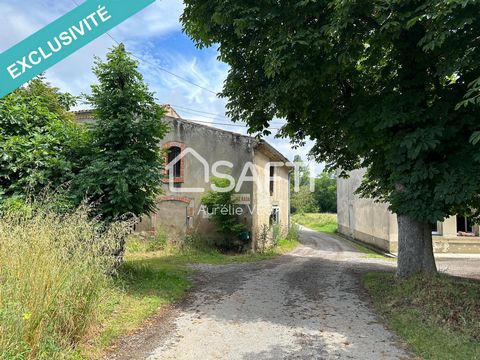 Discover this unique opportunity to acquire an old farmhouse offering over 350m² of space to transform, located in an agricultural zone close to the Pamiers/Mirepoix axis (D119). With a 2700m² plot, this property requires complete renovation, includi...