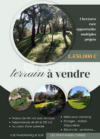 RARE OPPORTUNITY FOR A MULTITUDE OF PROJECTS. Living in a quiet place in a peaceful place for a family or professional project, everything is there to do it. This property, of more than 3 hectares, is composed of: A main house of 140 m2 with a large ...