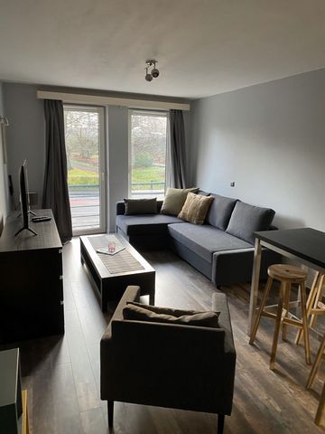 Charming studio fully equipped, 300 meters walk from Gent Sint Pieter station (Gand Saint Pierre), with two large windows facing the park Delphine Boël, 10 mn walk from the SMAK museum, tramway stop at the door step of the building going to the old c...