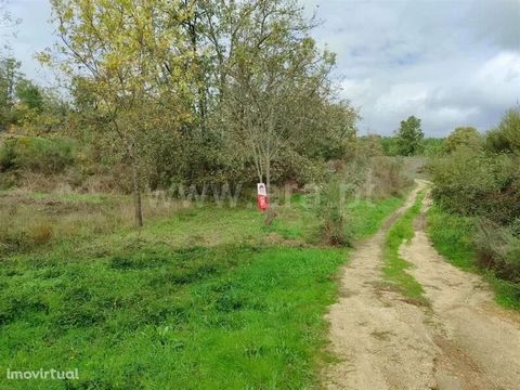 Isolated land with an area of more than 3Ha. Location close to Póvoa da Atalaia. Emphasis on the land with fertile soil and culture. It also has mountain views and good access.