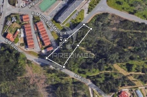 Terreno Rustico  em  Crestuma , com possibilidade de construção (Ideal para 2 a 3 moradias) Área  2900 m2 Zona residencial calma, com vista Rio Douro (Barragem de Crestuma) e montanha Proximidade de escola básica de Seixo Alvo, farmácia, bombeiros, s...