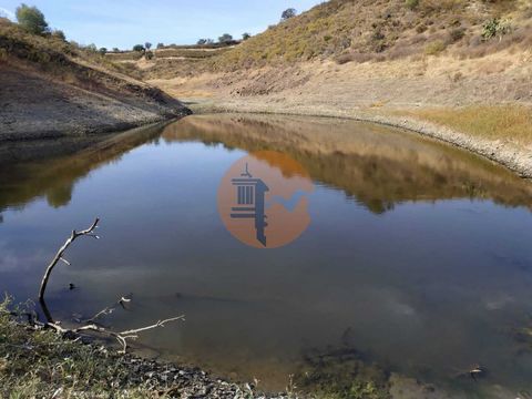 Land with 12.7 hectares, near the Dam, Ribeira da Caroucha - Castro Marim - Algarve - Portugal. Land with 1,200m² of urban area for the construction of houses and warehouses. With a Private Lake. Piped Water, Electricity, Public Lighting and Telephon...