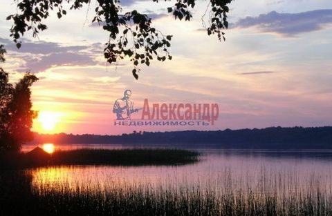 1686470 Участок 13 соток, в ДНП `Созвездие Водолея` Собственность. Земли сельхоз назначения. Для ведения садоводства. Вода - есть, подводка от общей скважины ДНП, на глубине 2,5 метра Электричество 15 Квт - по заявлению в ДНП. Газ - возможность подкл...