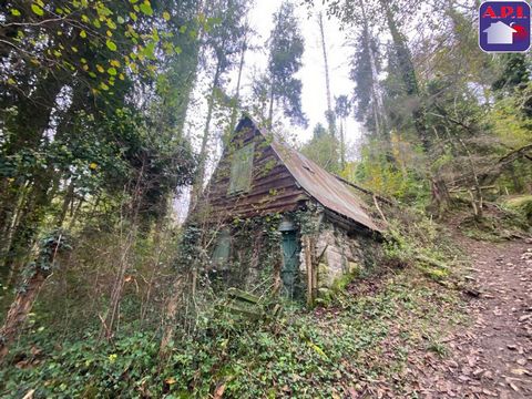 SCHEUNE OHNE CU Eine landwirtschaftliche Scheune mitten im Wald, 10 Gehminuten vom Dorf entfernt. Grundstück mit einer Fläche von ca. 5500 m² neben der Scheune. Gebühren inklusive Steuern gehen zu Lasten des Verkäufers AGENCE PYRENEES IMMOBILIER (API...