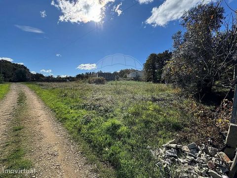 Parcela de terreno llano con 1.000 metros cuadrados, situada en Cumeada, Valongo do Vouga, a pocos minutos de Águeda. El terreno tiene una topografía plana, lo que facilita los trabajos de construcción y reduce los costos de preparación. El área es i...