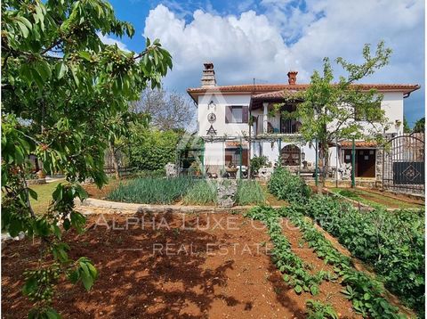 A beautifully renovated stone house near Buje, situated in the serene Istrian countryside. This charming property offers a total living area of 255 m², featuring four bedrooms, a bathroom, a cozy living area with a fireplace, and a fully equipped kit...