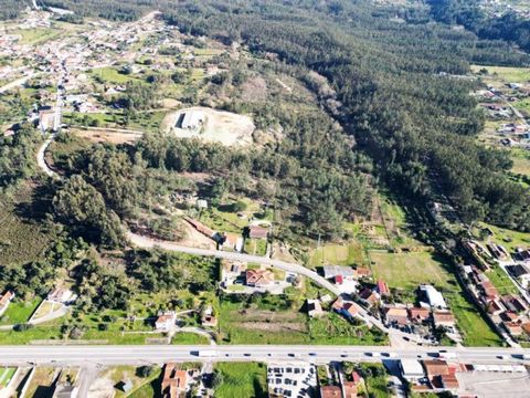 Gran parcela de 60.841m2 con una nave de 1200 m2, junto a la EN 1, en Pelariga, Pombal, Leiria. Parcela de 6 hectáreas con gran potencial edificatorio, junto a la EN1, 3ha de las cuales, según el PDM, se encuentran en Suelo Urbanizable - Espacio Resi...