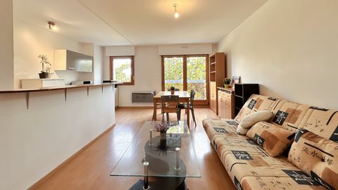 Découvrez ce charmant appartement T2, idéalement situé dans le quartier prisé Gare Sud/Miroir. Parfait pour un premier achat, un investissement locatif ou pour ceux qui recherchent un pied-à-terre dans une zone dynamiqe et bien desservie. Bien dispon...