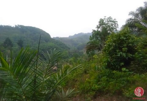 An exceptional opportunity presents itself with this 7-rai parcel of hill land located in proximity to KK Monster Fish Fishing Park in Phangnga. The land offers enchanting mountain vistas and boasts a diverse array of trees and fruits, including duri...