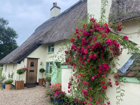 Historic Moated Farmhouse. Lovers of ancient houses, this one’s for you – but hurry, the opportunity to own a house built in the reign of Henry VII is one that doesn’t come around too often! Under the beautiful thatch is plenty of room for all in thi...